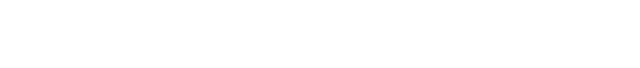 American Amicable